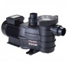 BOMBA HAYWARD POWERFLO II 3/4 C.V.